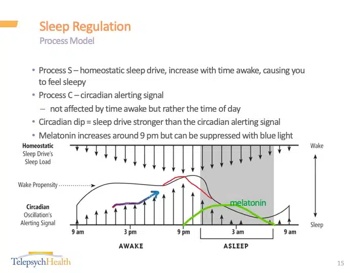 Sleep regulation slide presentation