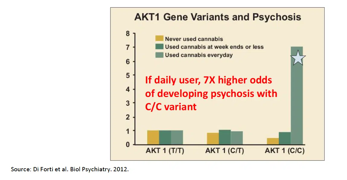 cannabis psychosis gene