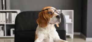 Business Knowledge for Private Practice will Help You Succeed