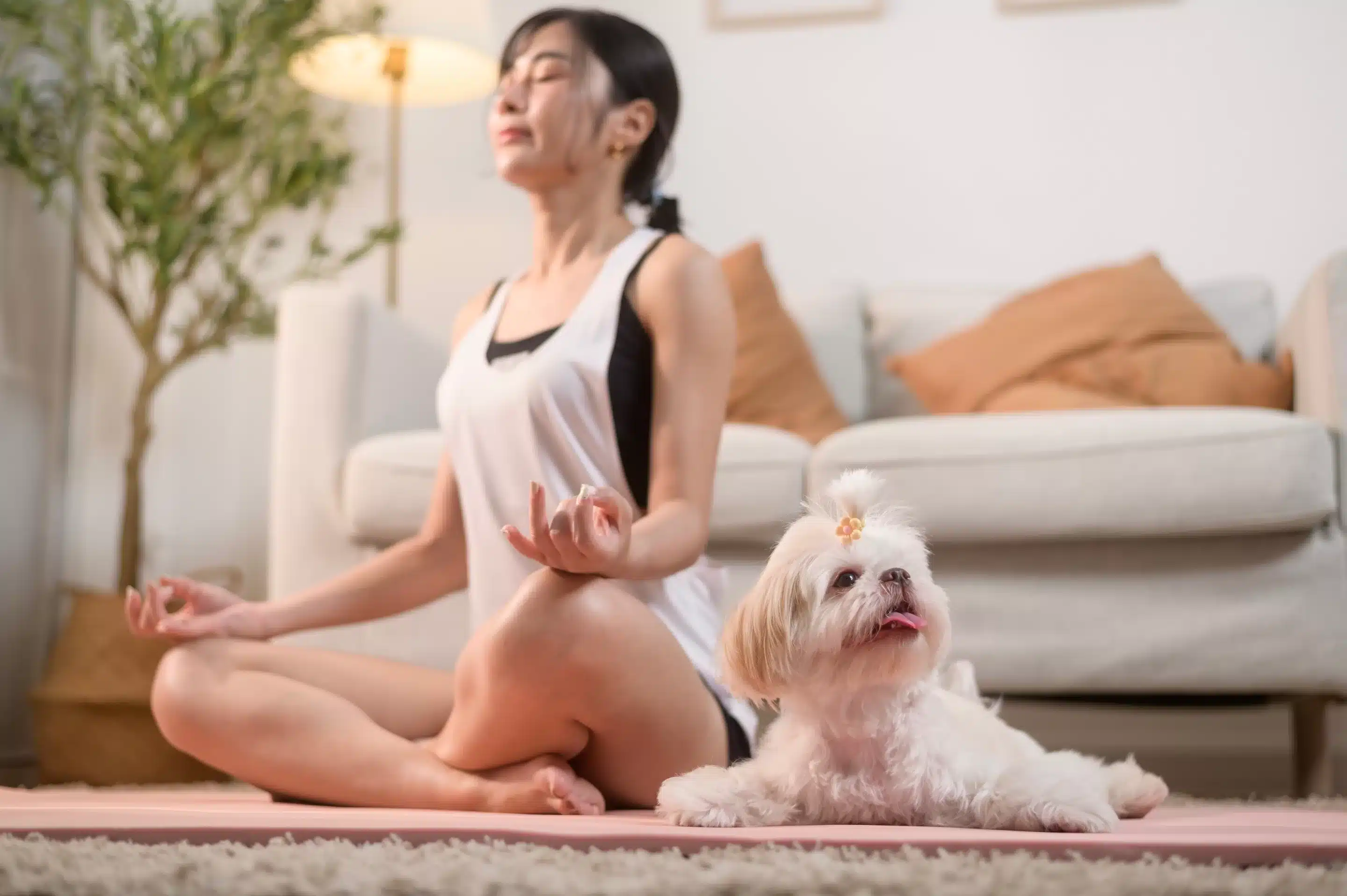 What Do Studies Say About Physical Exercise to Treat Mental Health