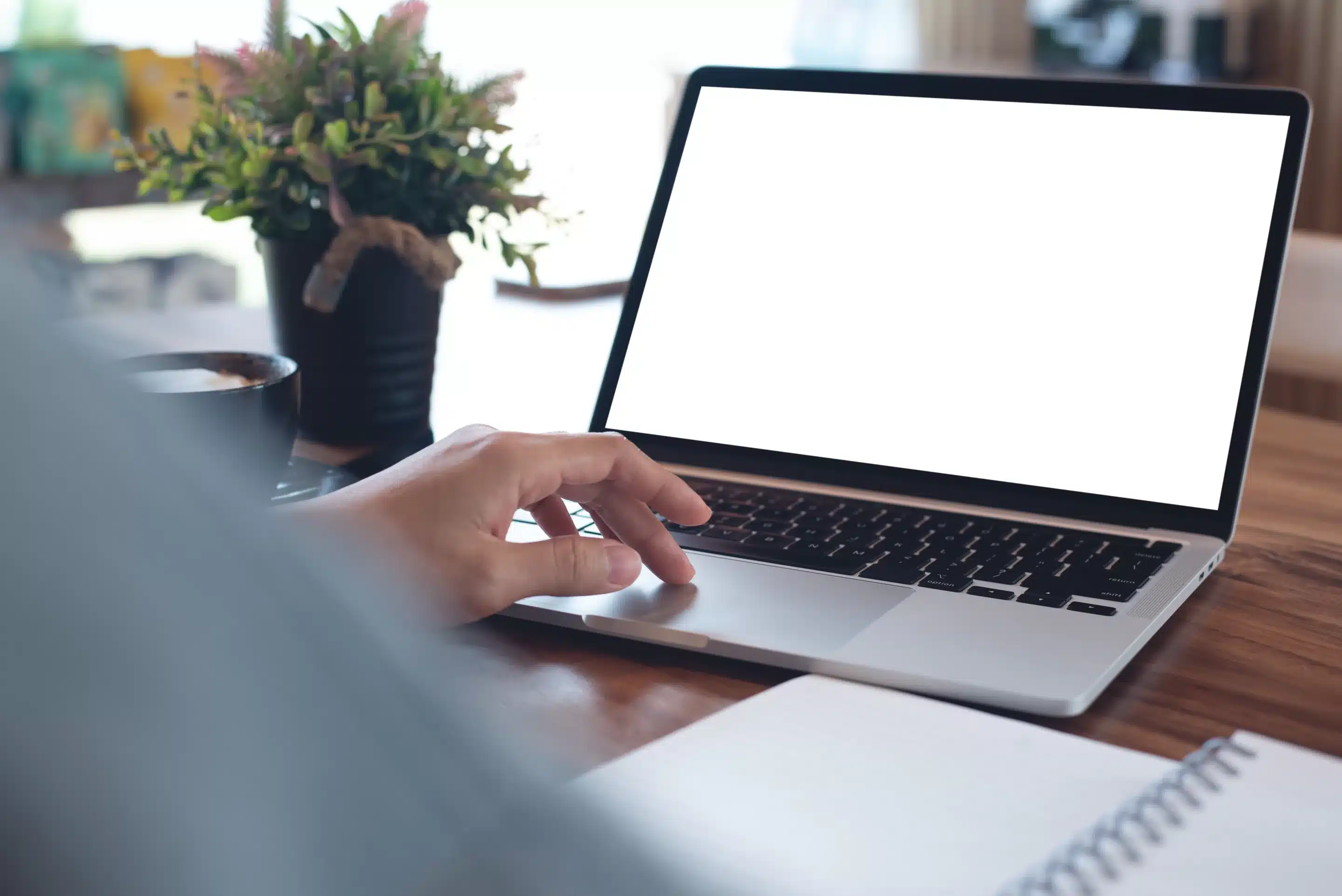 Leverage the Power of Content Marketing in online marketing plan