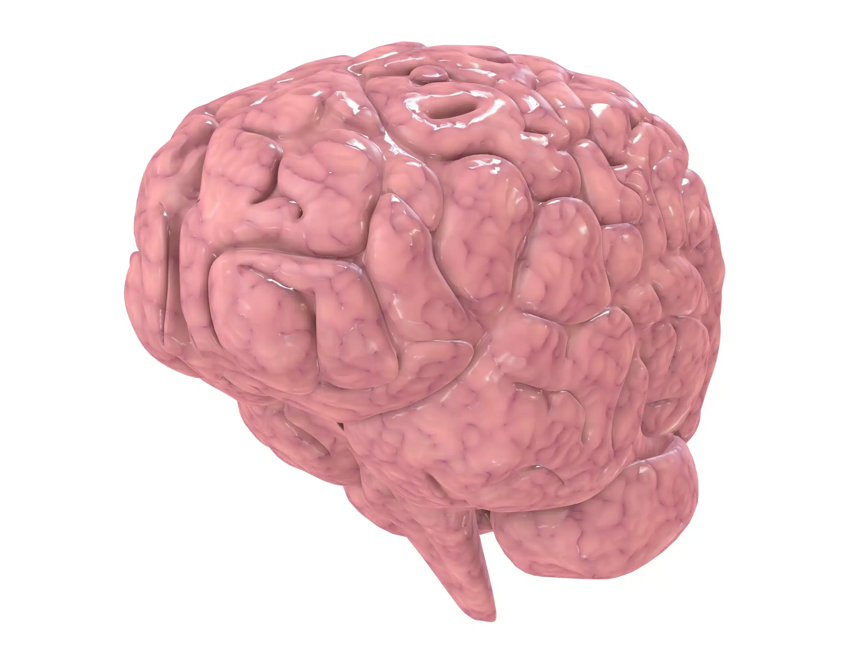 Location of the cerebellum in the brain
